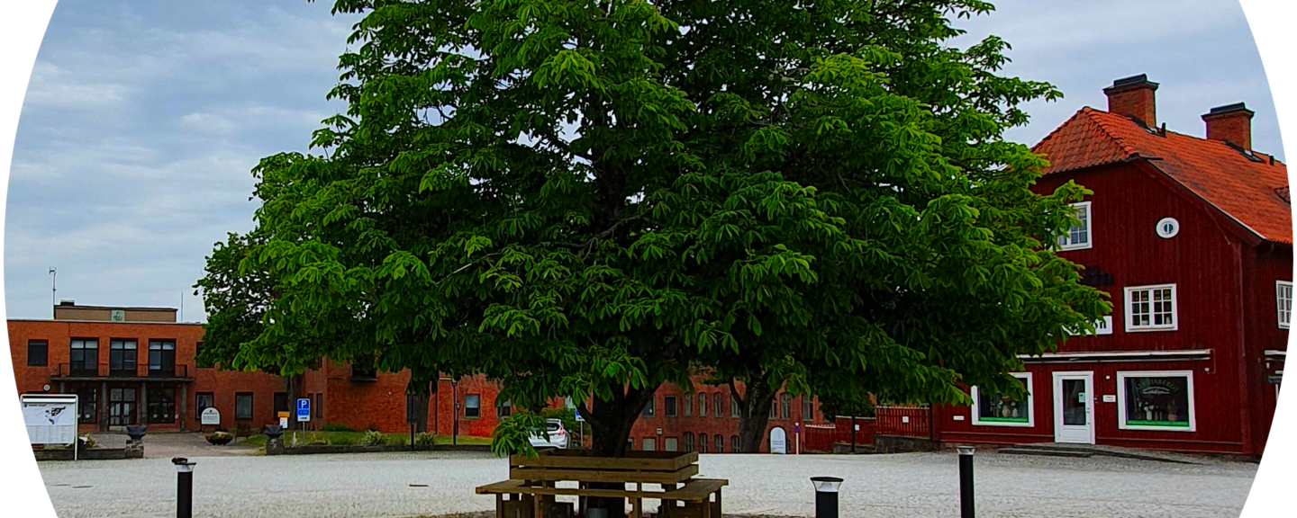 Träd på Gamla torget Åtvidaberg